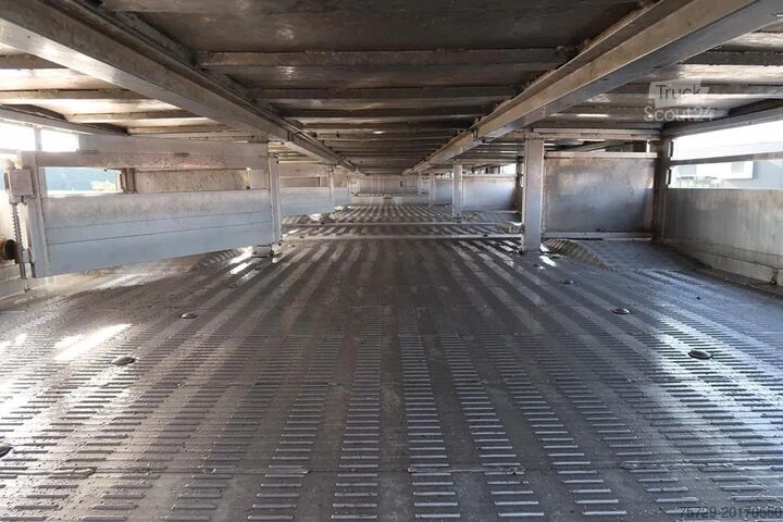 Veetransport Berdex OV. 1227  - Pigs Transport - 2, 3, 4 Floors