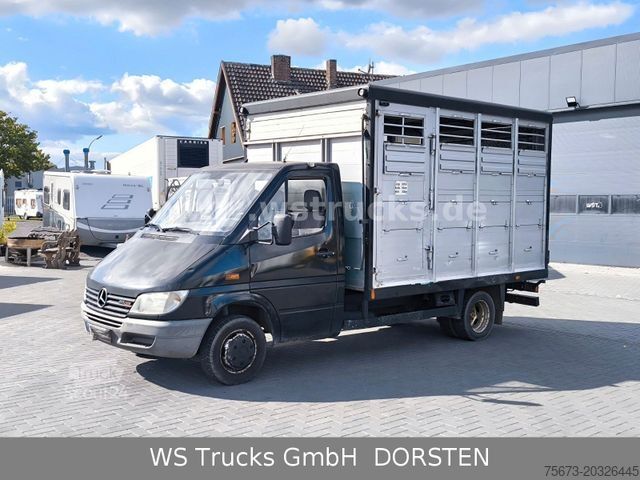 Trasportatore di bestiame MERCEDES-BENZ Sprinter 411 CDI Viehtransporter