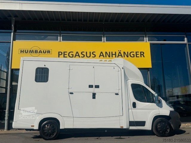 Přepravník pro dobytek FIAT Ducato 2 Pferdetransporter Honorio Verso EQ2