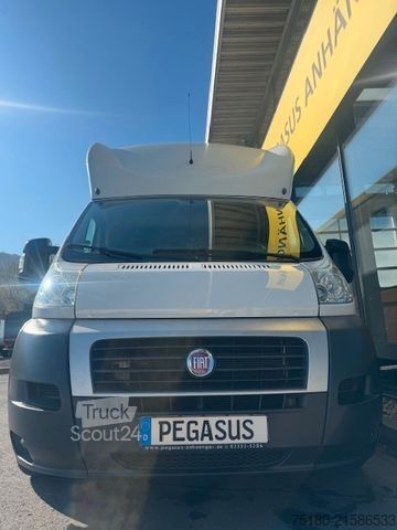 Přepravník pro dobytek FIAT Ducato 2 Pferdetransporter Honorio Verso EQ2