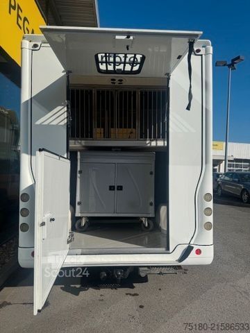 Přepravník pro dobytek FIAT Ducato 2 Pferdetransporter Honorio Verso EQ2