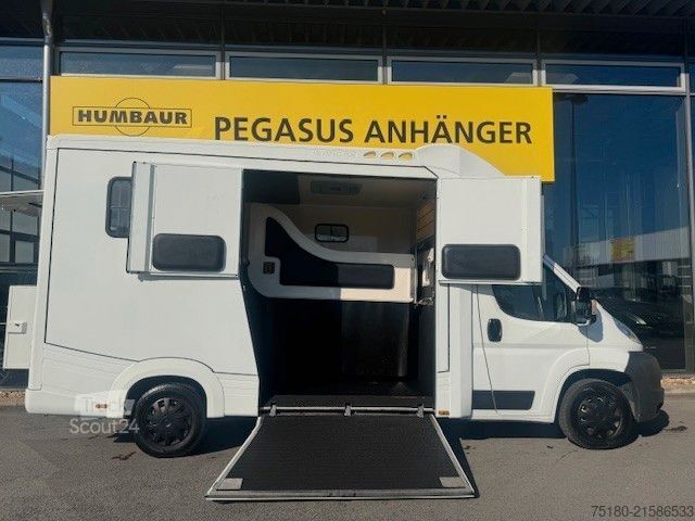Přepravník pro dobytek FIAT Ducato 2 Pferdetransporter Honorio Verso EQ2