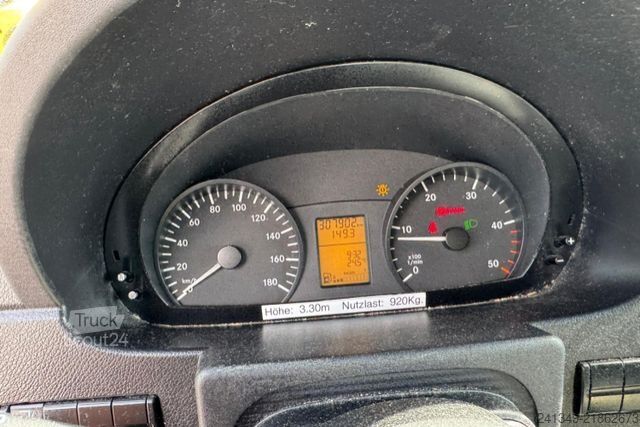 Perdeli panelvan MERCEDES-BENZ Sprinter 313 CDI Hebebühne