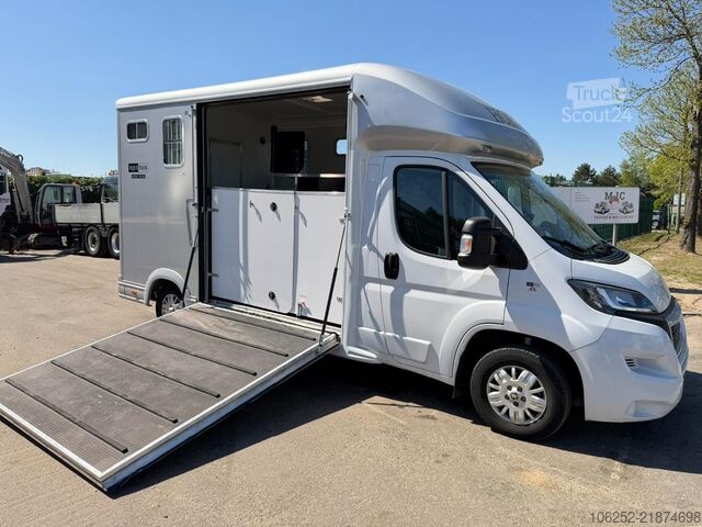 Pferdetransport Peugeot Equi-Trek Sonic SW35P (2) HORSE TRUCK / PAARDEN...