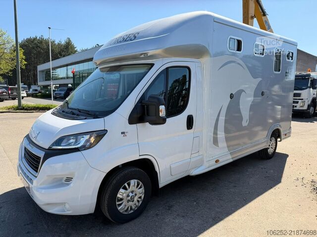 Pferdetransport Peugeot Equi-Trek Sonic SW35P (2) HORSE TRUCK / PAARDEN...