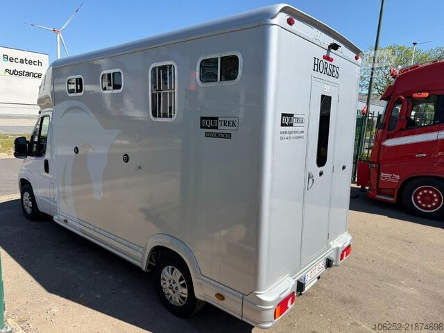 Trasporto di cavalli Peugeot Equi-Trek Sonic SW35P (2) HORSE TRUCK / PAARDEN...
