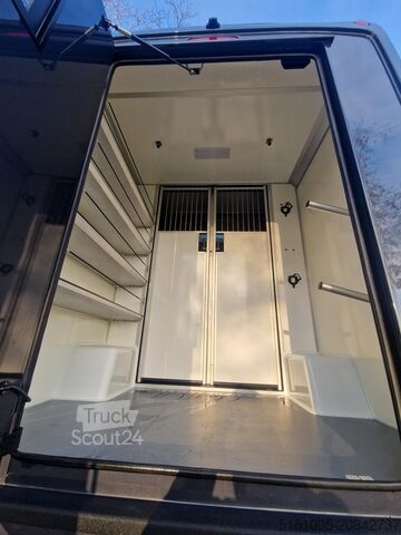 Transport de chevaux Mercedes Sprinter Automaat STX 4,1T C1 Rijbewijs!Paarden...