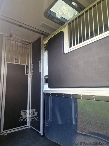 Transport de chevaux Mercedes Sprinter Automaat STX 4,1T C1 Rijbewijs!Paarden...