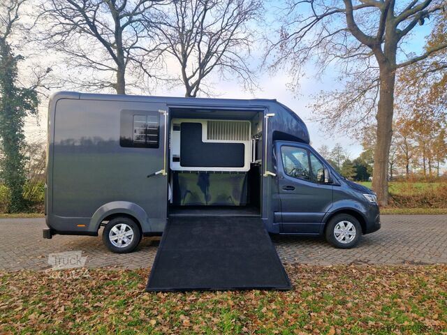 Transport de chevaux Mercedes Sprinter Automaat STX 4,1T C1 Rijbewijs!Paarden...