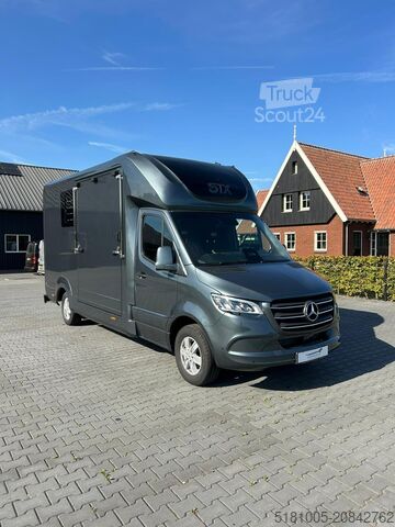Cattle transport Mercedes Sprinter Nieuw paardenwagen Automaat STX 4,1T C...