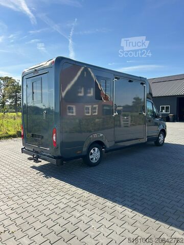 Cattle transport Mercedes Sprinter Nieuw paardenwagen Automaat STX 4,1T C...