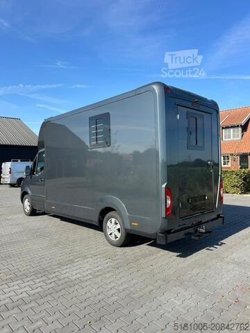 Cattle transport Mercedes Sprinter Nieuw paardenwagen Automaat STX 4,1T C...