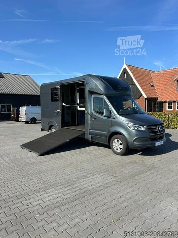 Cattle transport Mercedes Sprinter Nieuw paardenwagen Automaat STX 4,1T C...