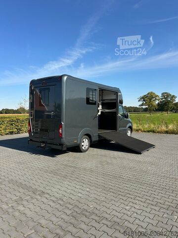 Cattle transport Mercedes Sprinter Nieuw paardenwagen Automaat STX 4,1T C...