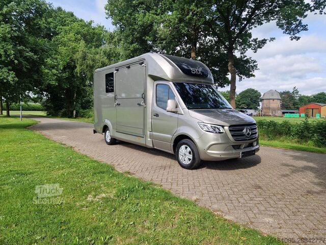 Transport de chevaux Mercedes Sprinter Automaat STX 4,1T C1 Rijbewijs!Paarden...