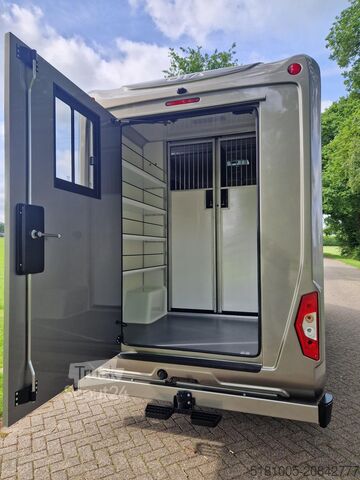 Transport de chevaux Mercedes Sprinter Automaat STX 4,1T C1 Rijbewijs!Paarden...