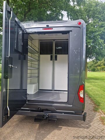 Transport de chevaux Mercedes Sprinter Automaat STX 4,1T C1 Rijbewijs!Paarden...