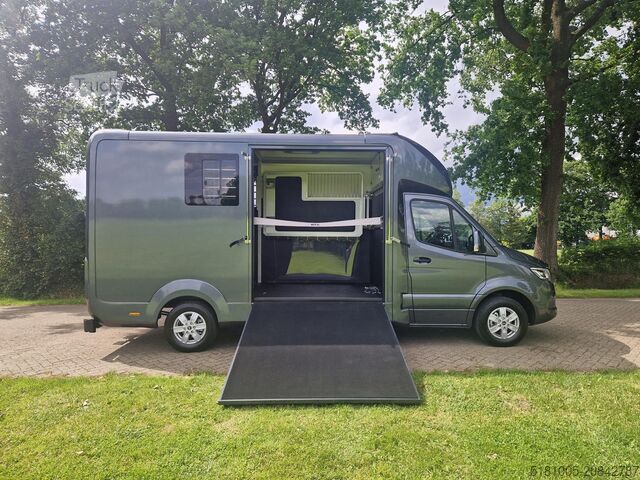 Transport de chevaux Mercedes Sprinter Automaat STX 4,1T C1 Rijbewijs!Paarden...