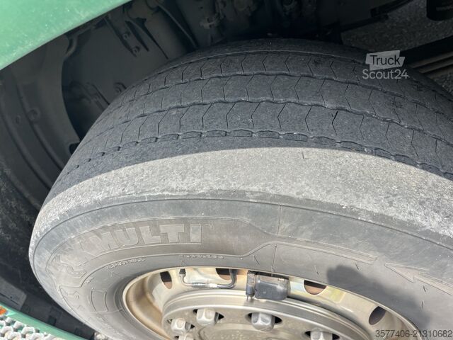 Camion pentru transportul puilor SCANIA R500