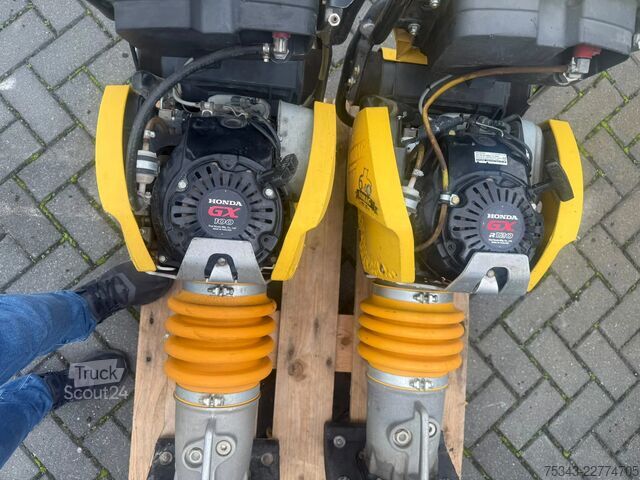 Komprimator Bomag 2x BT 65 | 130 and 62 Hours | 2014 and 2017 | I...