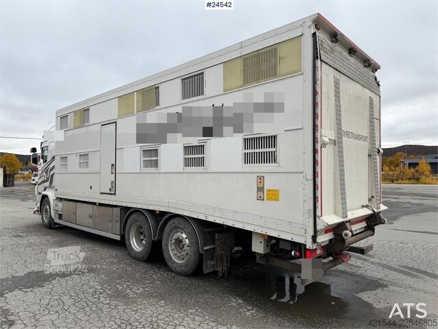 Transporte de gado Scania R580