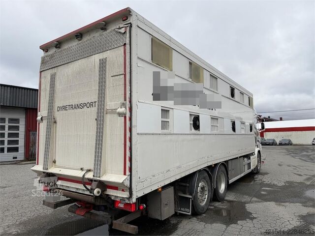 Transporte de gado Scania R580