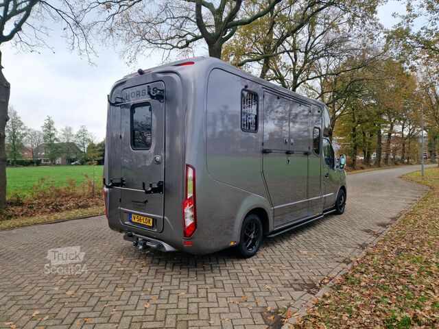 Transport av hÀstar Renault Master Hengsten uitvoering dubbele cabine paard...