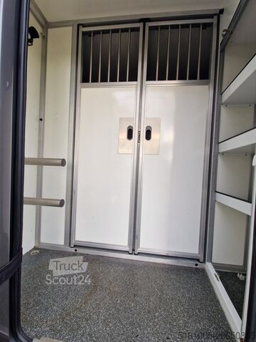 Transport av hästar Renault Master Hengsten uitvoering dubbele cabine paard...
