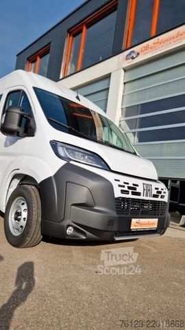 Minibus FIAT Fiat Ducato 9 Sitzer Systemboden Rolli Stock