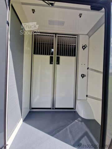 Horse transportation Renault Master STX Renault Master S3 pro-safety paarden...