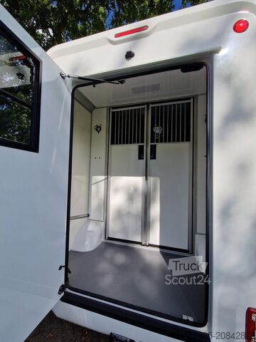 Horse transportation Renault Master Demo S3 Anemone paardenwagen Pro-Safety ...