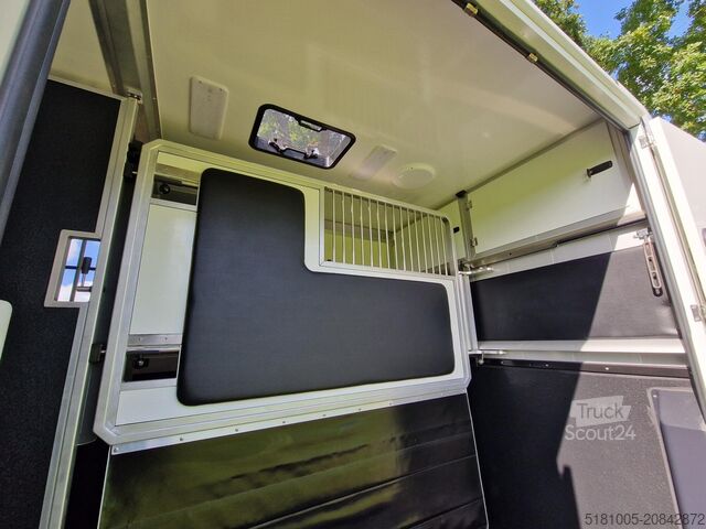Horse transportation Renault Master Demo S3 Anemone paardenwagen Pro-Safety ...