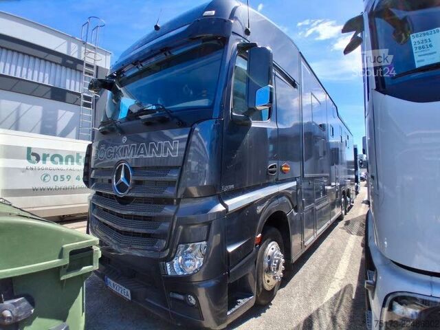 Kreaturvogn MERCEDES-BENZ Actros 25L Böckmann Horses Big Equipe L3.56.26