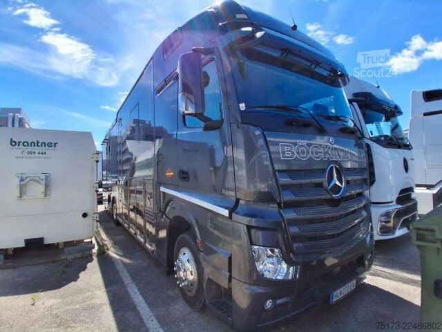 Kreaturvogn MERCEDES-BENZ Actros 25L Böckmann Horses Big Equipe L3.56.26