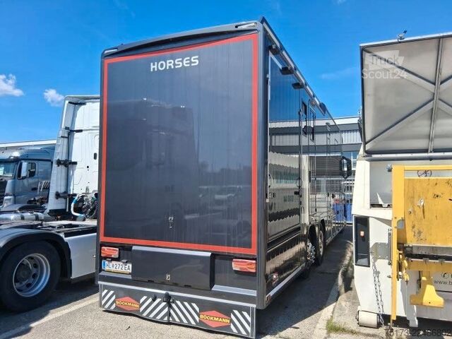 Kreaturvogn MERCEDES-BENZ Actros 25L Böckmann Horses Big Equipe L3.56.26