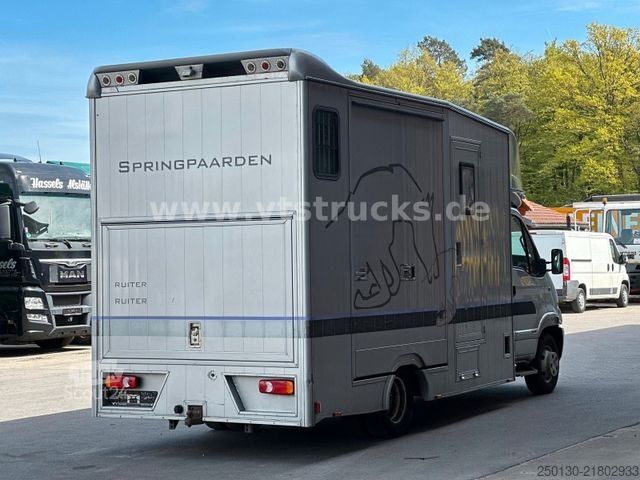 Livestock transporter RENAULT Master Maxi 160CDi BÖCKMANN 3 Pferde Wohnteil