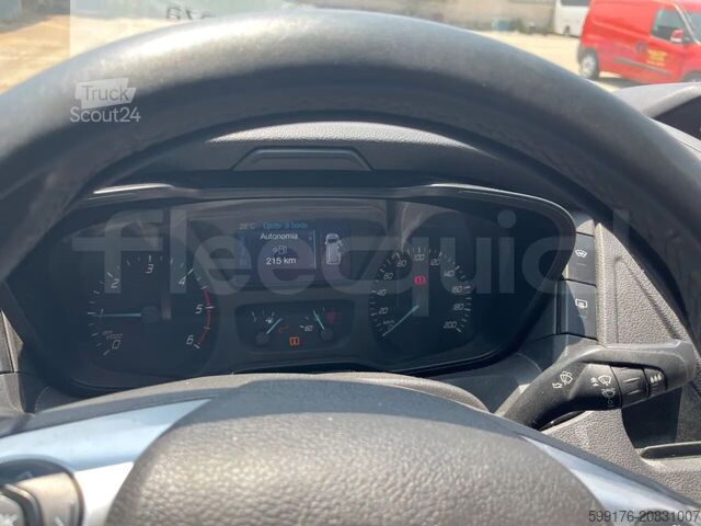 Transport de pasageri Ford Transit