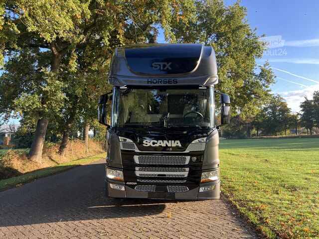 Paarden transport Scania P420 Luxury-line met pop-up en pop-out. id 69