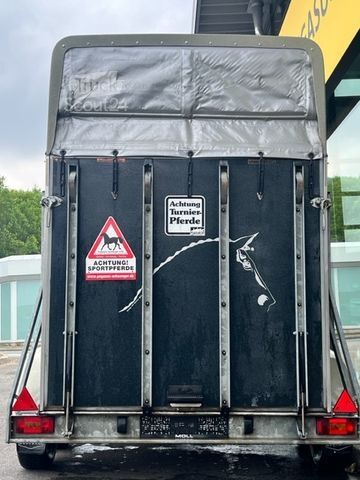 Rimorchio per trasporto cavalli BÖCKMANN Comfort 2t SK