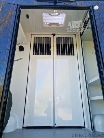 Transport av hästar Renault Master MTM S3 EXCLUSIVE ! Nieuw model paardenwa...