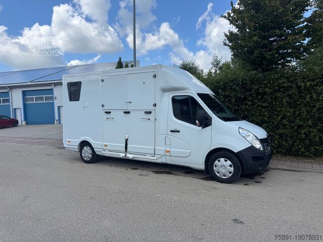 Lastbil för nötkreatur Renault Master Hengst Pferdetransporter