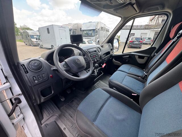 Lastbil för nötkreatur Renault Master Hengst Pferdetransporter