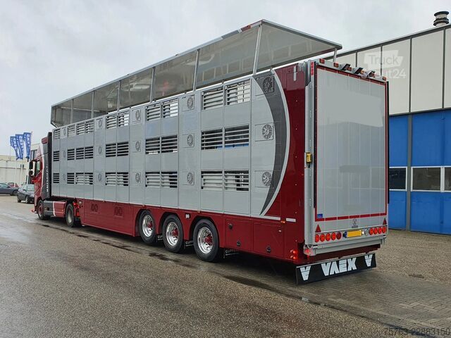 Viehtransport CUPPERS NEW - 3 stock livestock - Water & Ventilation -...