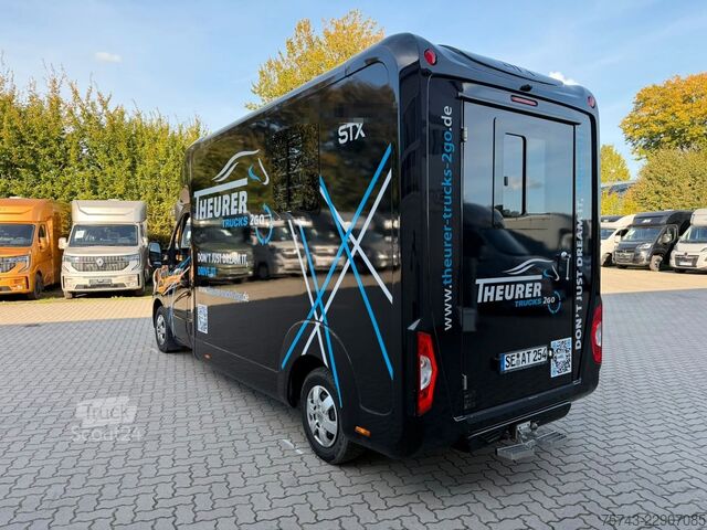 Prevoznik živine RENAULT Master STX 3 Sitzer  Haras / Hengste