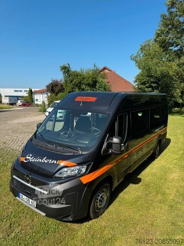 Minibus FIAT Opel Movano und Ducato Flexiboden 6 Schienen