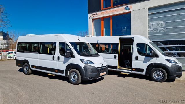 Minibus FIAT 1x Ducato 1x Opel Movano 18 SS in Stock