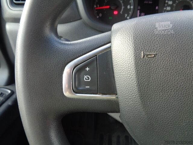 Wagon à caisse longue Renault Master