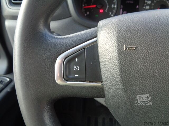 Fourgon surélevé Renault Master