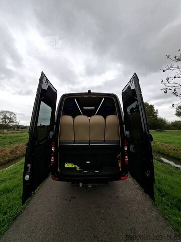 Minibus Mercedes-Benz Sprinter 519