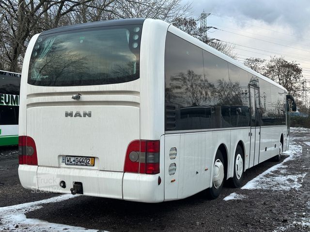 Intercitybus MAN R13 Lions Regio L (65Sitze*251 tKm)